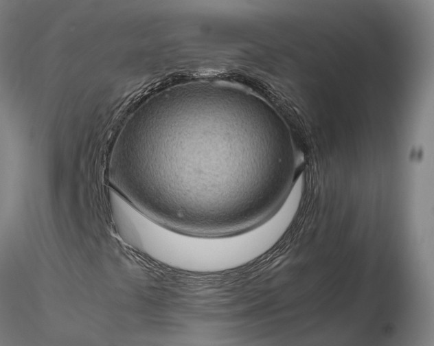 X0000116121441200912071335