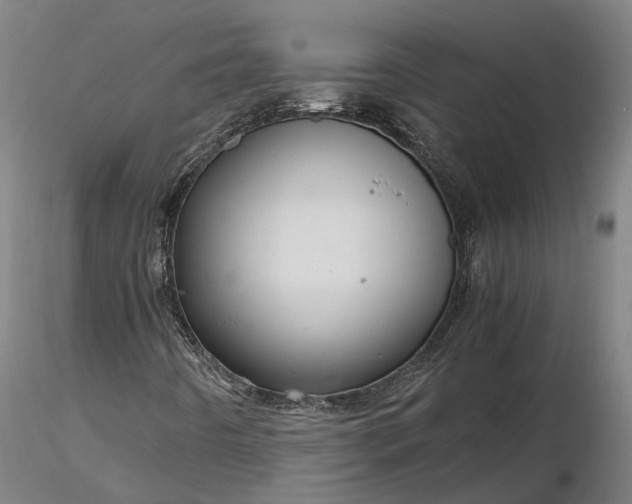 X0000116121442200912071335