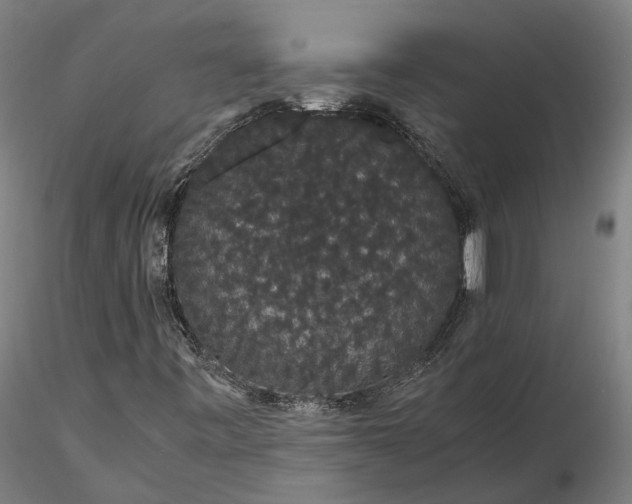 X0000116121443200912071335