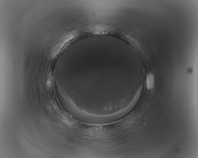 X0000116121444200912071335