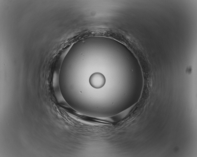 X0000116121445200912071335