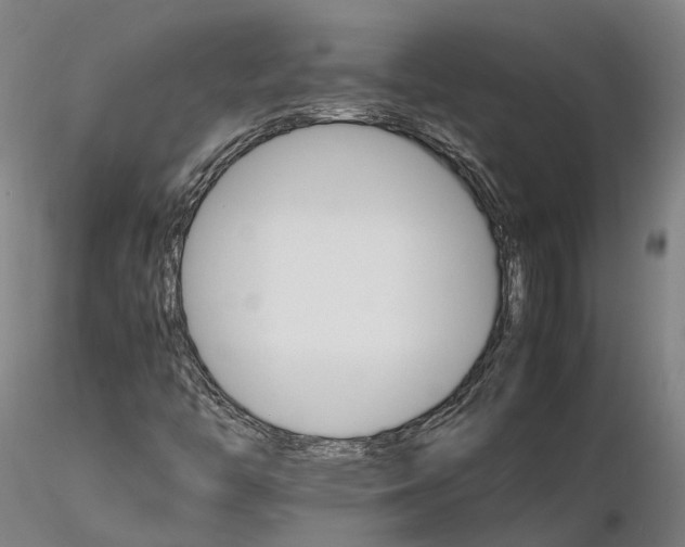 X0000116121446200912071335