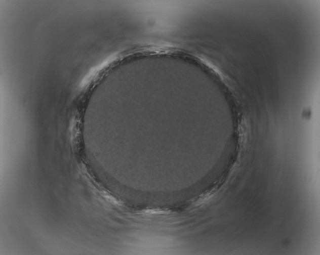 X0000116121447200912071335