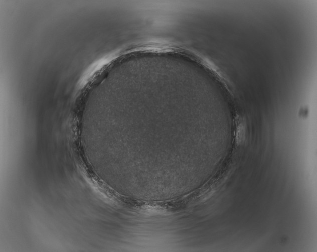 X0000116121448200912071335