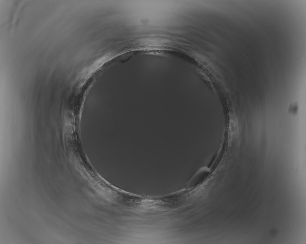 X0000116121449200912071335