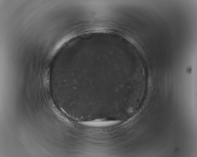 X0000116121450200912071335