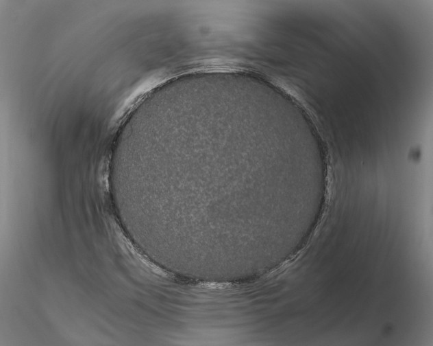 X0000116121451200912071335