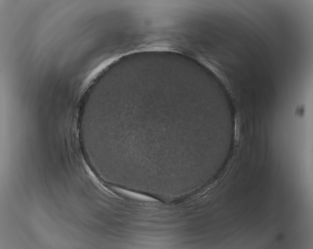 X0000116121452200912071335