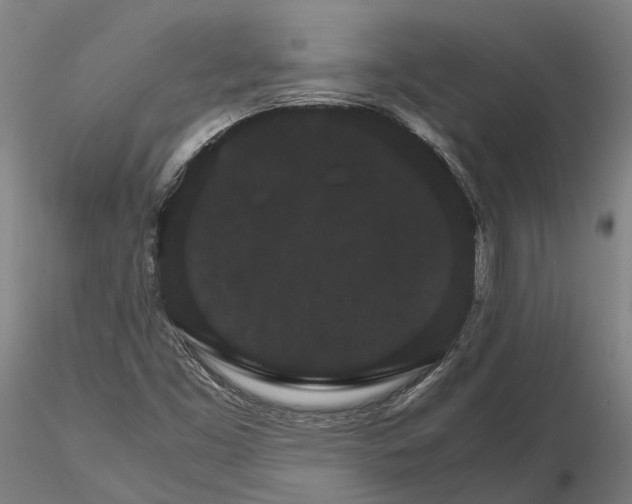 X0000116121453200912071335