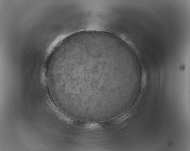 X0000116121454200912071335