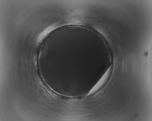 X0000116121455200912071335