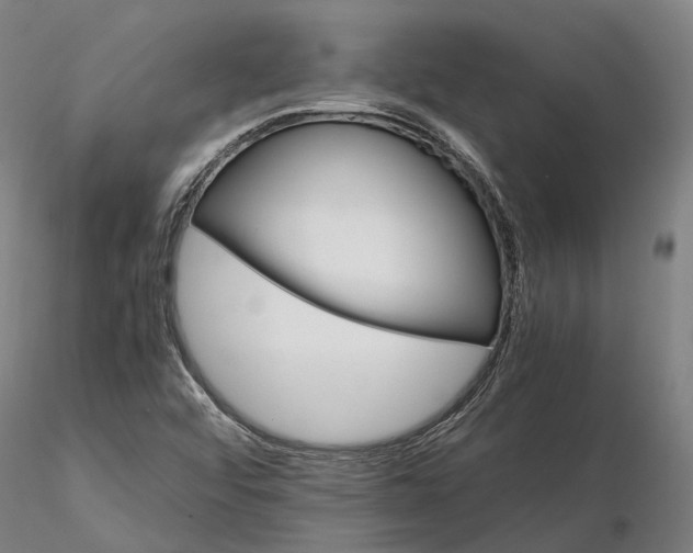 X0000116121456200912071335