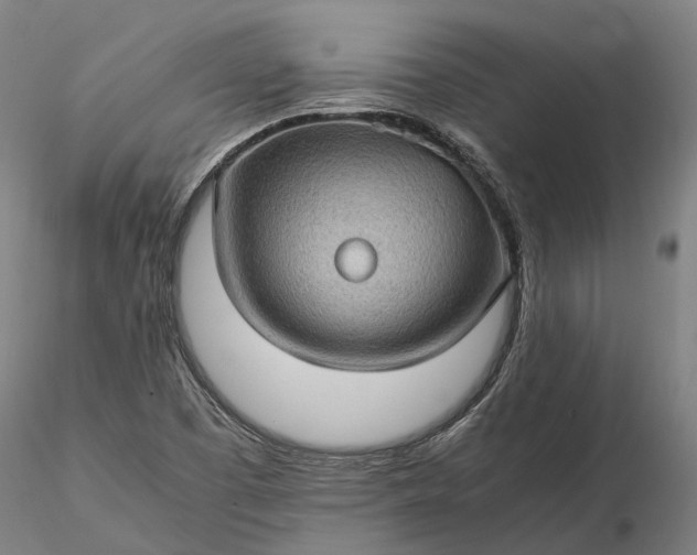 X0000116121457200912071334