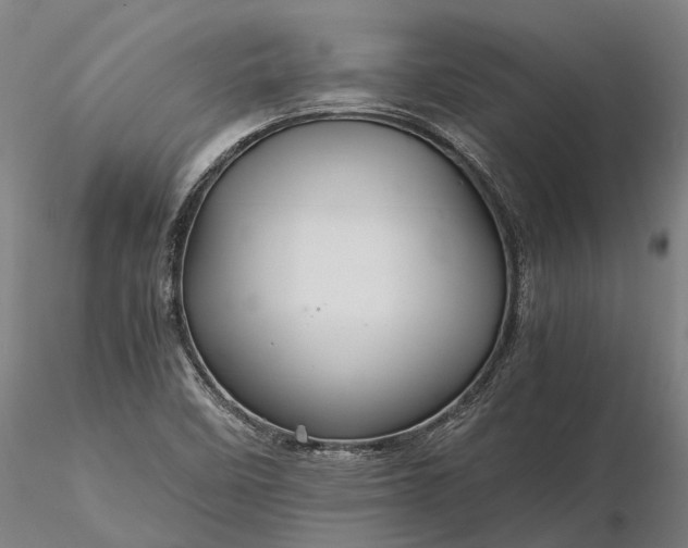 X0000116121458200912071334