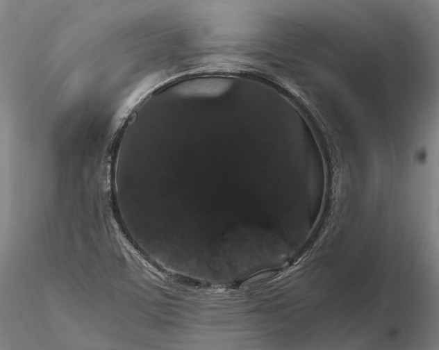 X0000116121459200912071334