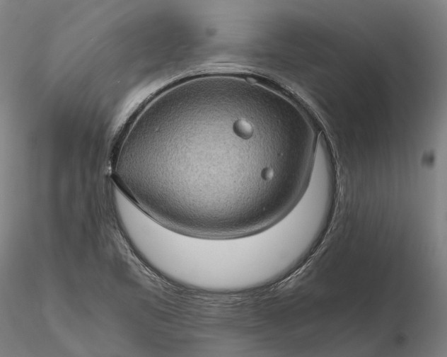 X0000116121461200912071334