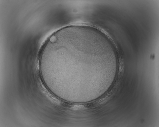 X0000116121462200912071334