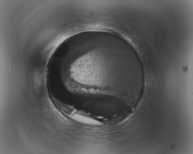 X0000116121463200912071334