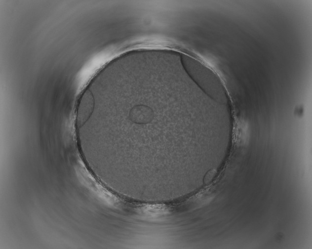 X0000116121464200912071334