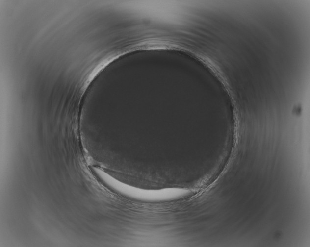 X0000116121465200912071334