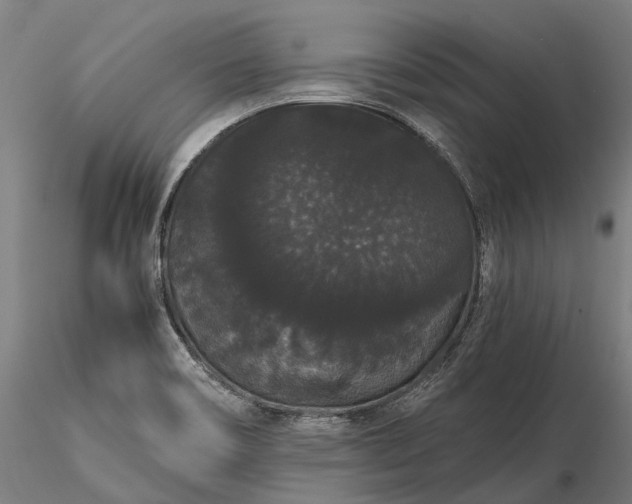 X0000116121466200912071334