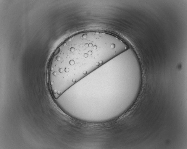 X0000116121467200912071334