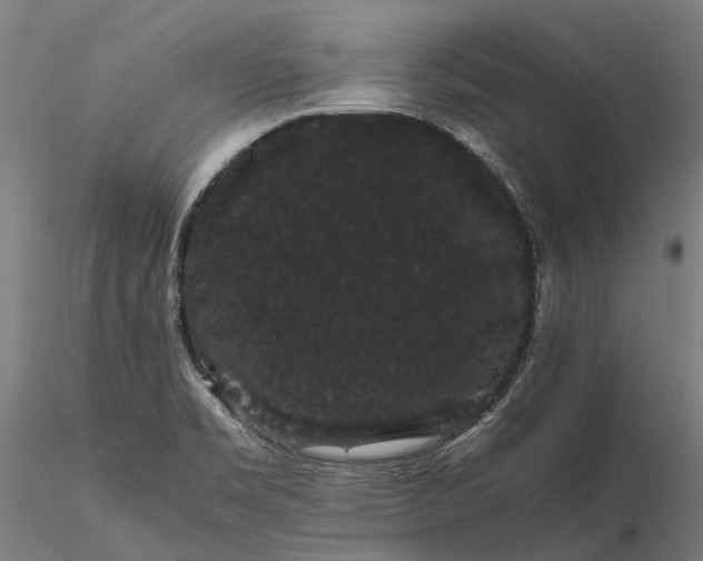 X0000116121469200912071334