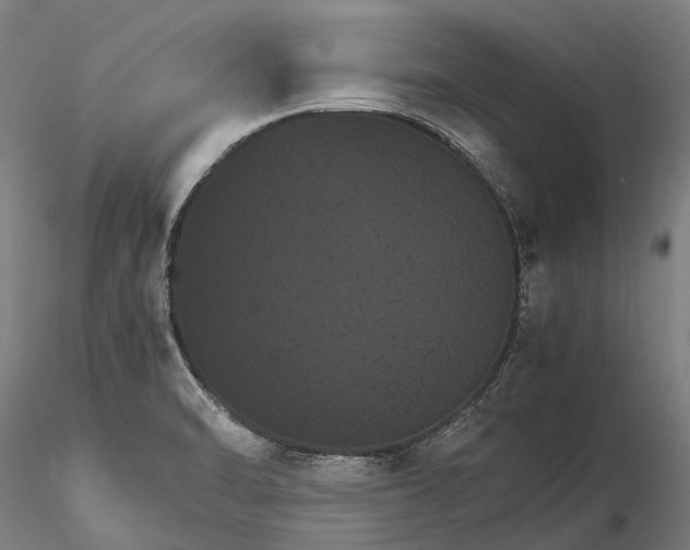 X0000116121470200912071334