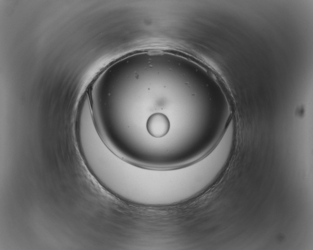 X0000116121472200912071334