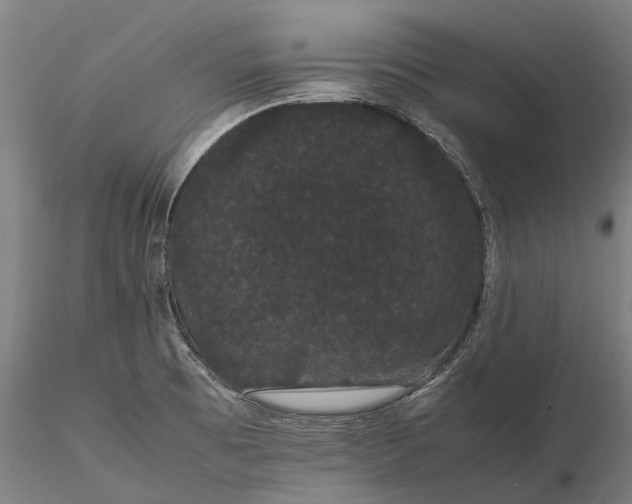 X0000116121473200912071334