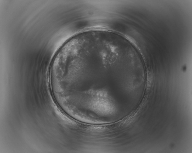 X0000116121474200912071334