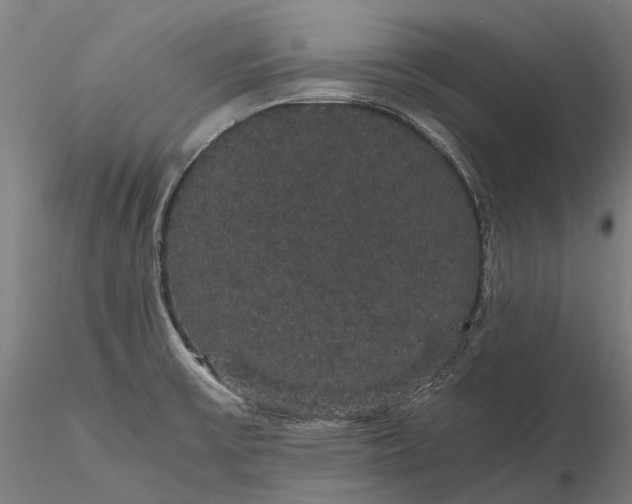 X0000116121475200912071334