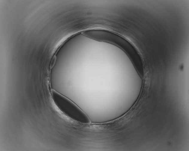 X0000116121476200912071334