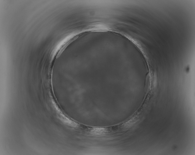 X0000116121477200912071334