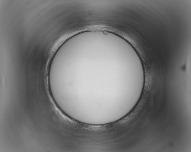 X0000116121478200912071334