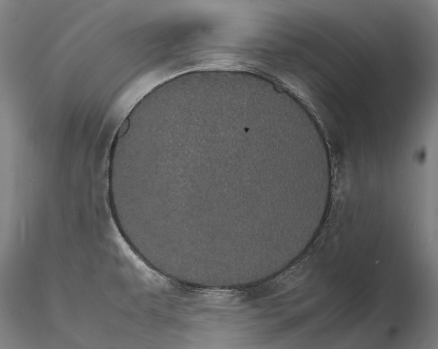 X0000116121479200912071334