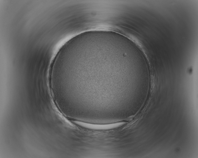 X0000116121480200912071334