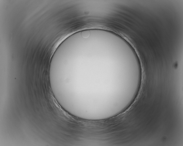 X0000116121481200912071334