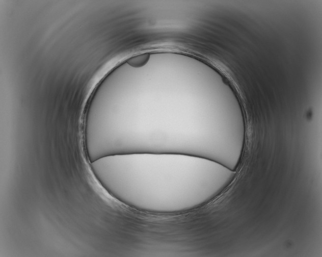 X0000116121482200912071334