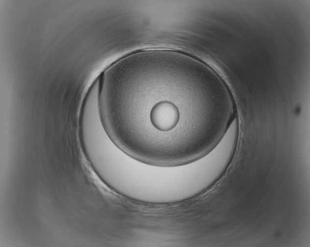 X0000116121485200912071334