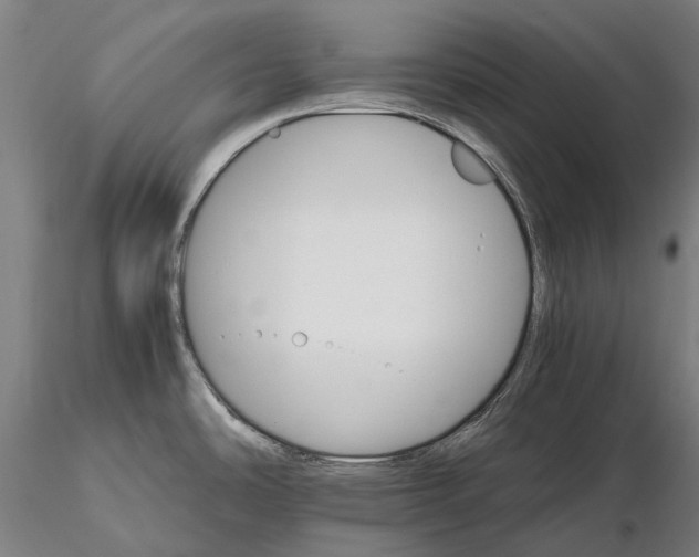 X0000116121486200912071334