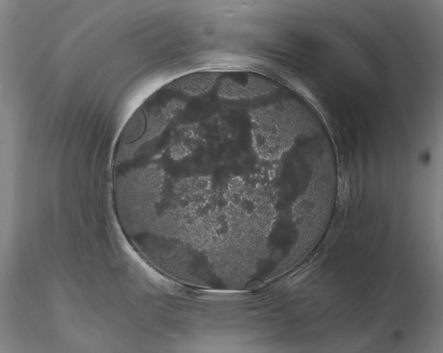 X0000116121487200912071334