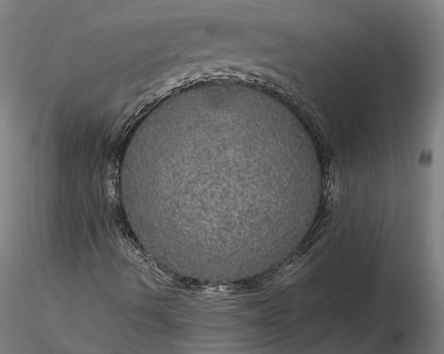 X0000116121490200912071333