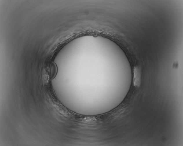 X0000116121491200912071333