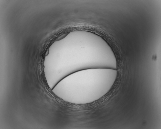 X0000116121493200912071333