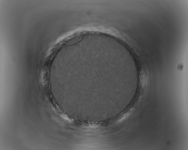 X0000116121494200912071333