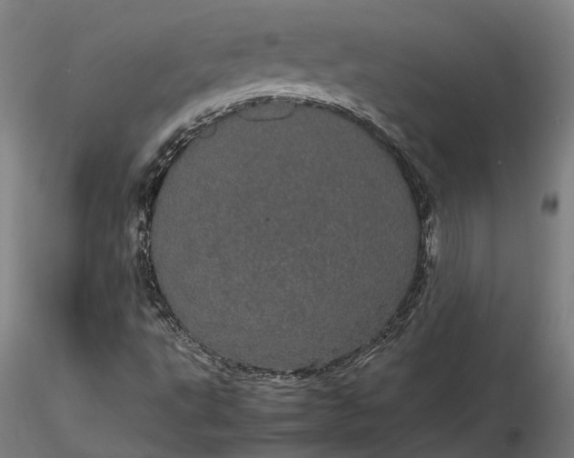 X0000116121495200912071333