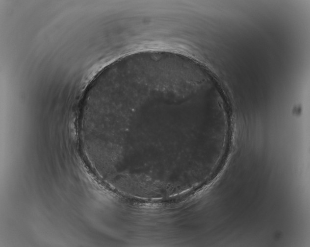 X0000116121497200912071333