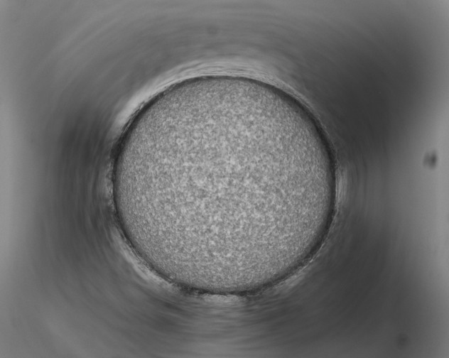 X0000116121498200912071333