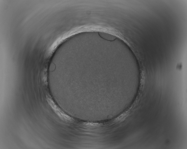 X0000116121499200912071333